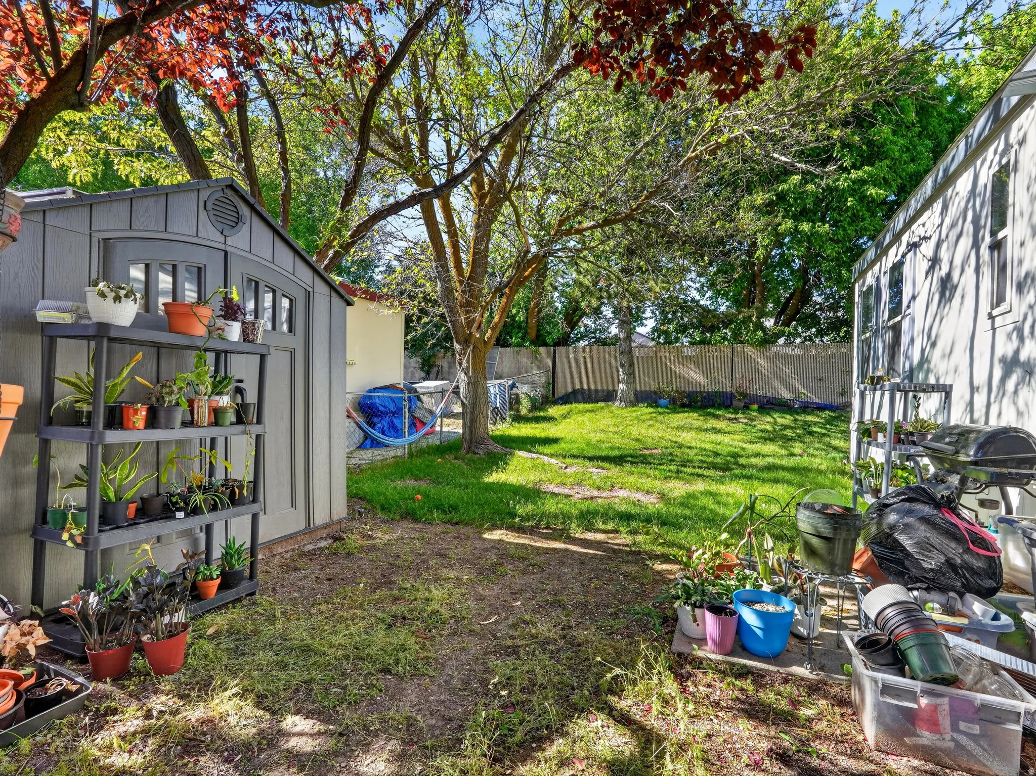 Spacious backyard with a large storage shed, mature trees, and a partial privacy fence