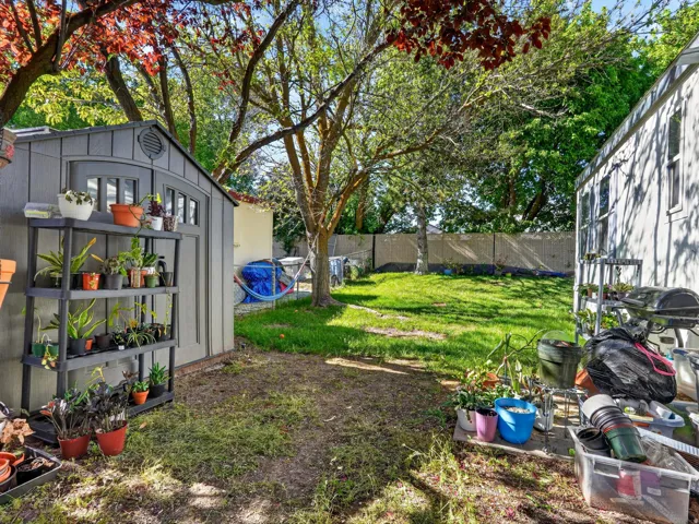 Spacious backyard with a large storage shed, mature trees, and a partial privacy fence