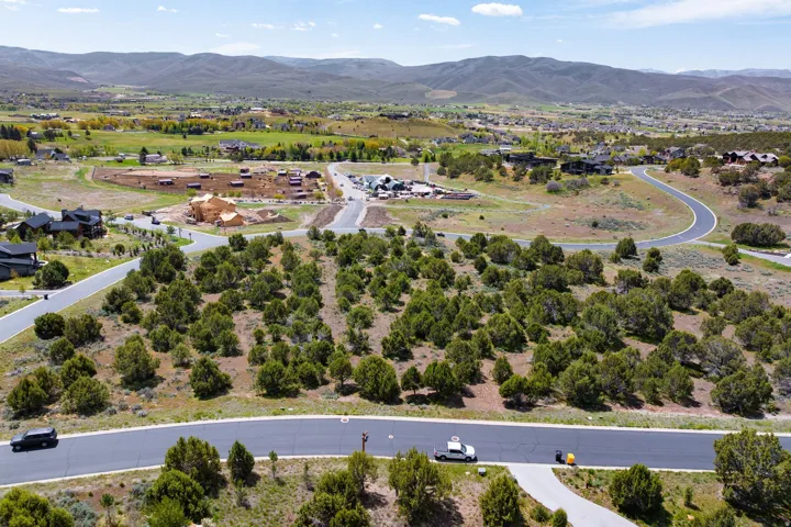 Elevated parcel featuring mature evergreen trees and a paved road frontage