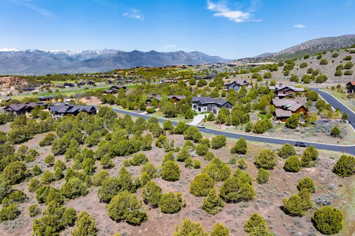 Expansive hillside community featuring multiple residences, mature shrubbery, paved roadways, and distant mountain ranges with snow-capped peaks