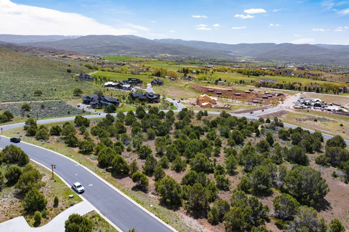 Expansive land parcel featuring dense evergreen trees and paved roadways