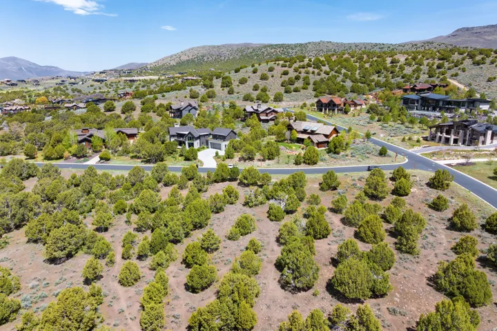 Expansive hillside property featuring mature evergreen trees and paved roadways