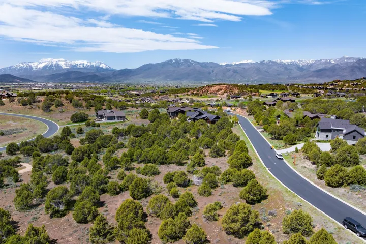 Expansive natural landscape featuring scattered green foliage, paved roads, and distant snow-capped mountains