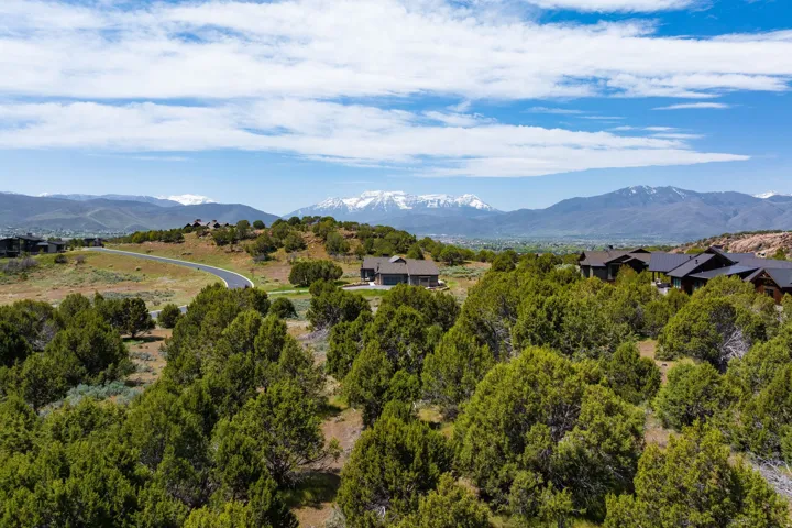 Expansive natural landscape with mature trees and distant mountain ranges featuring snow-capped peaks