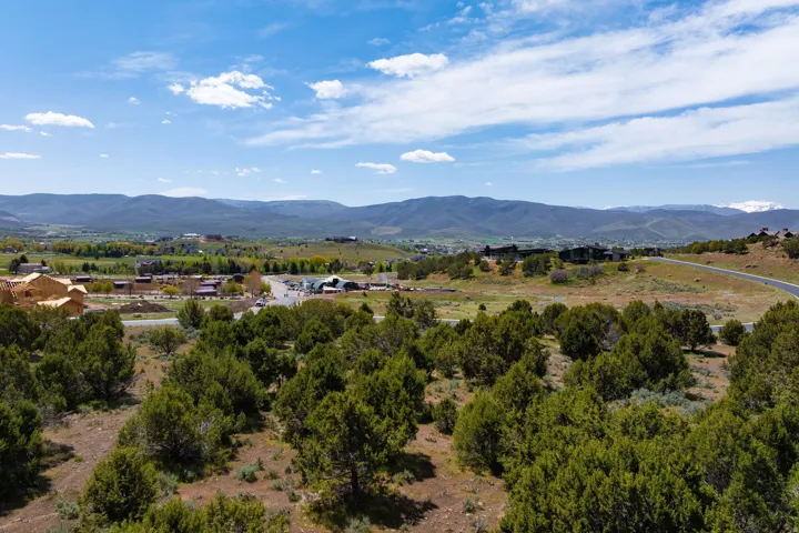 Expansive undeveloped land with abundant natural foliage and distant mountain ranges