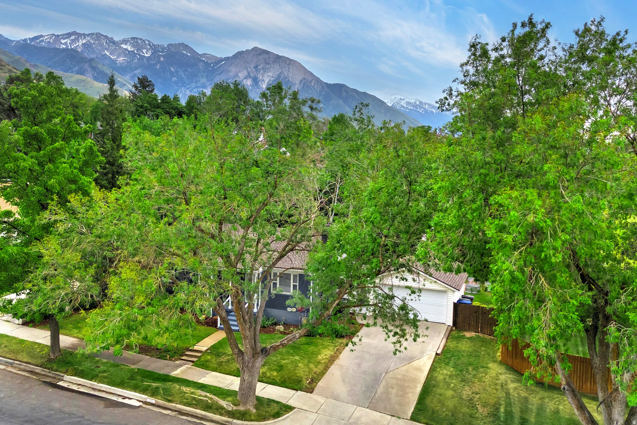 Single-story residence featuring a drive-under garage, concrete driveway, and established front landscaping