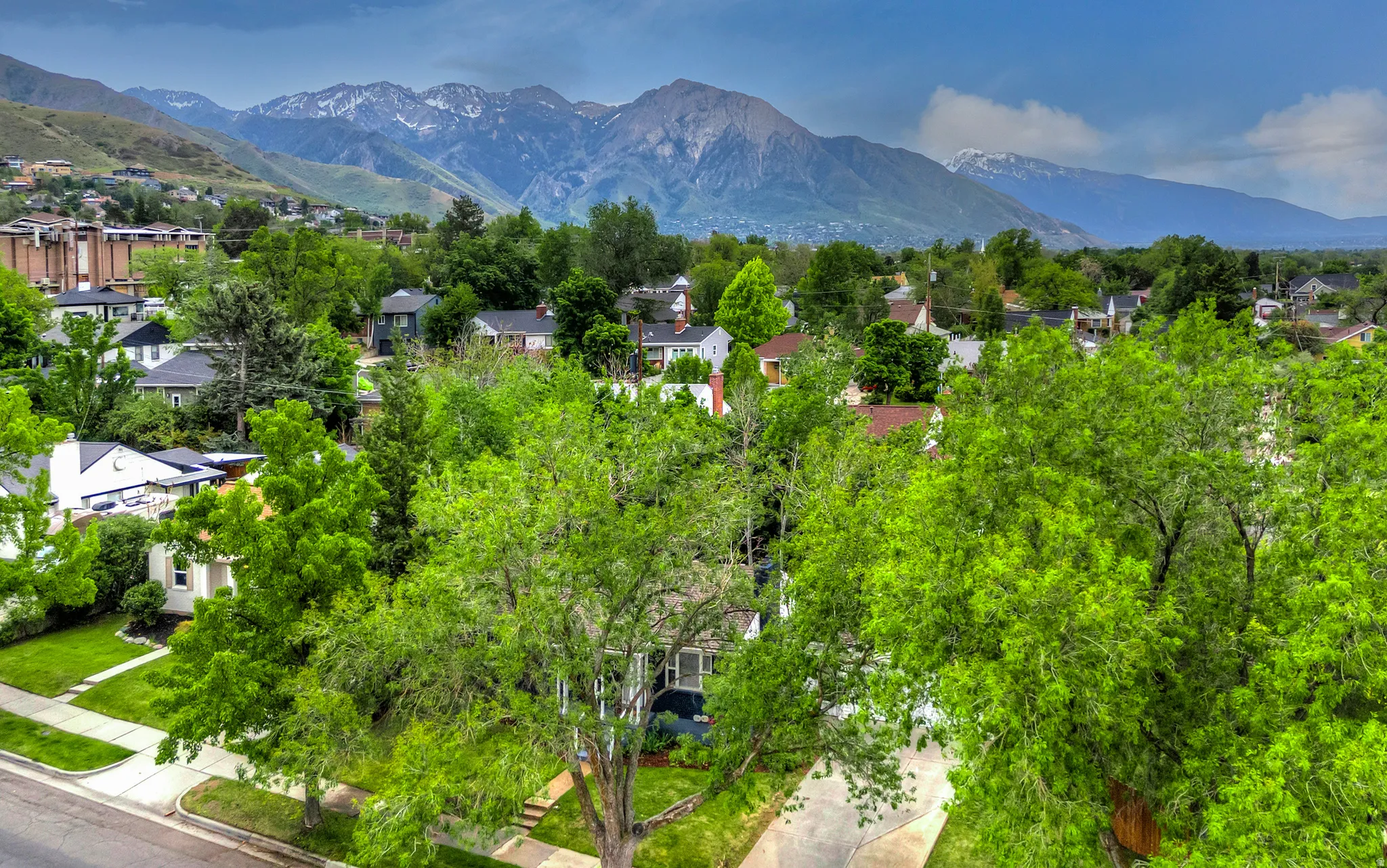 Lush green tree canopy with residential rooftops and distant snow-capped mountains