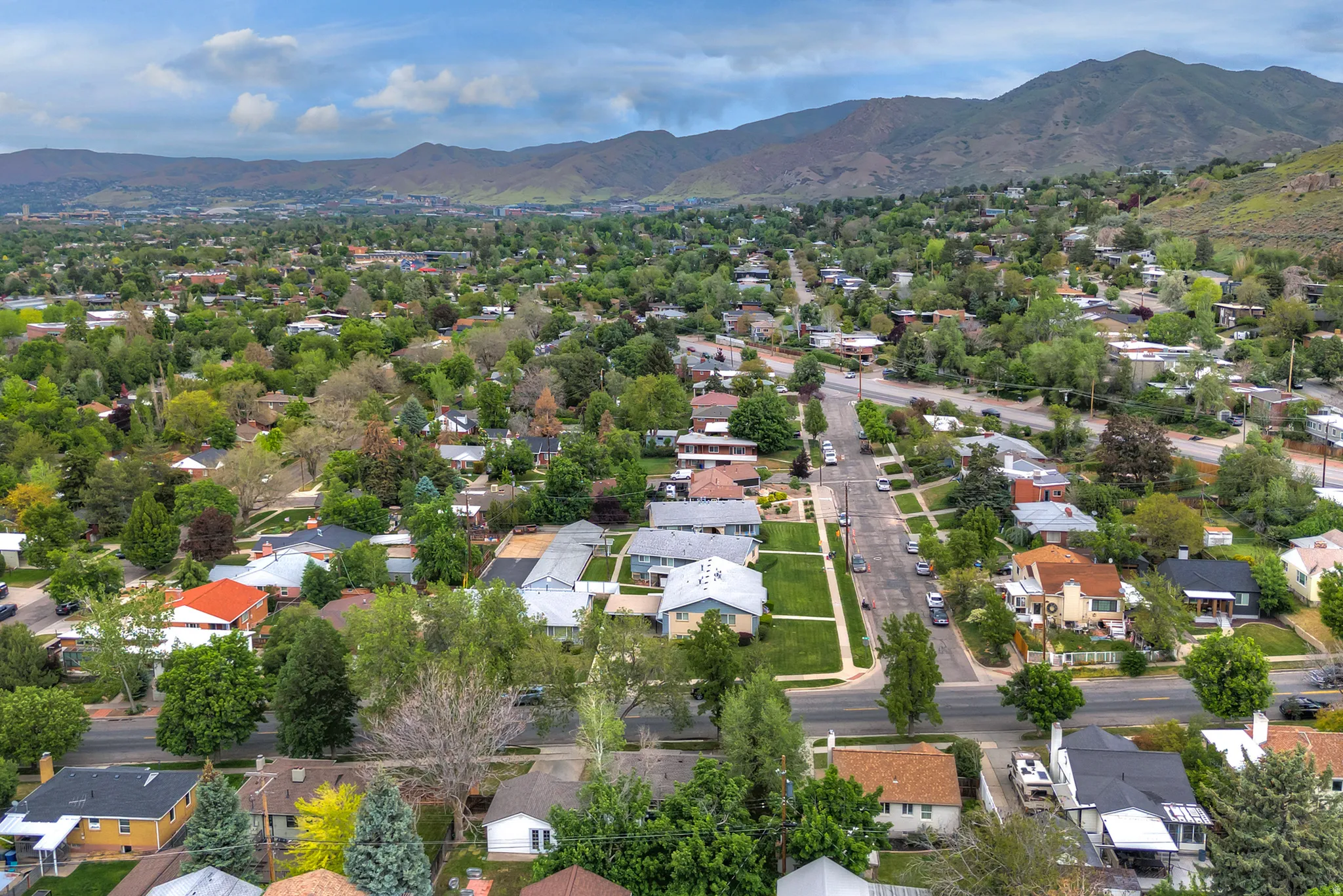 Neighborhood setting featuring extensive mature trees and mountain backdrops