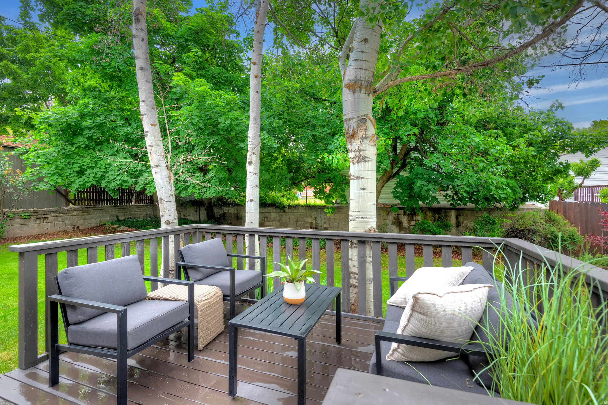 Outdoor deck featuring wood-finish flooring and dark railings