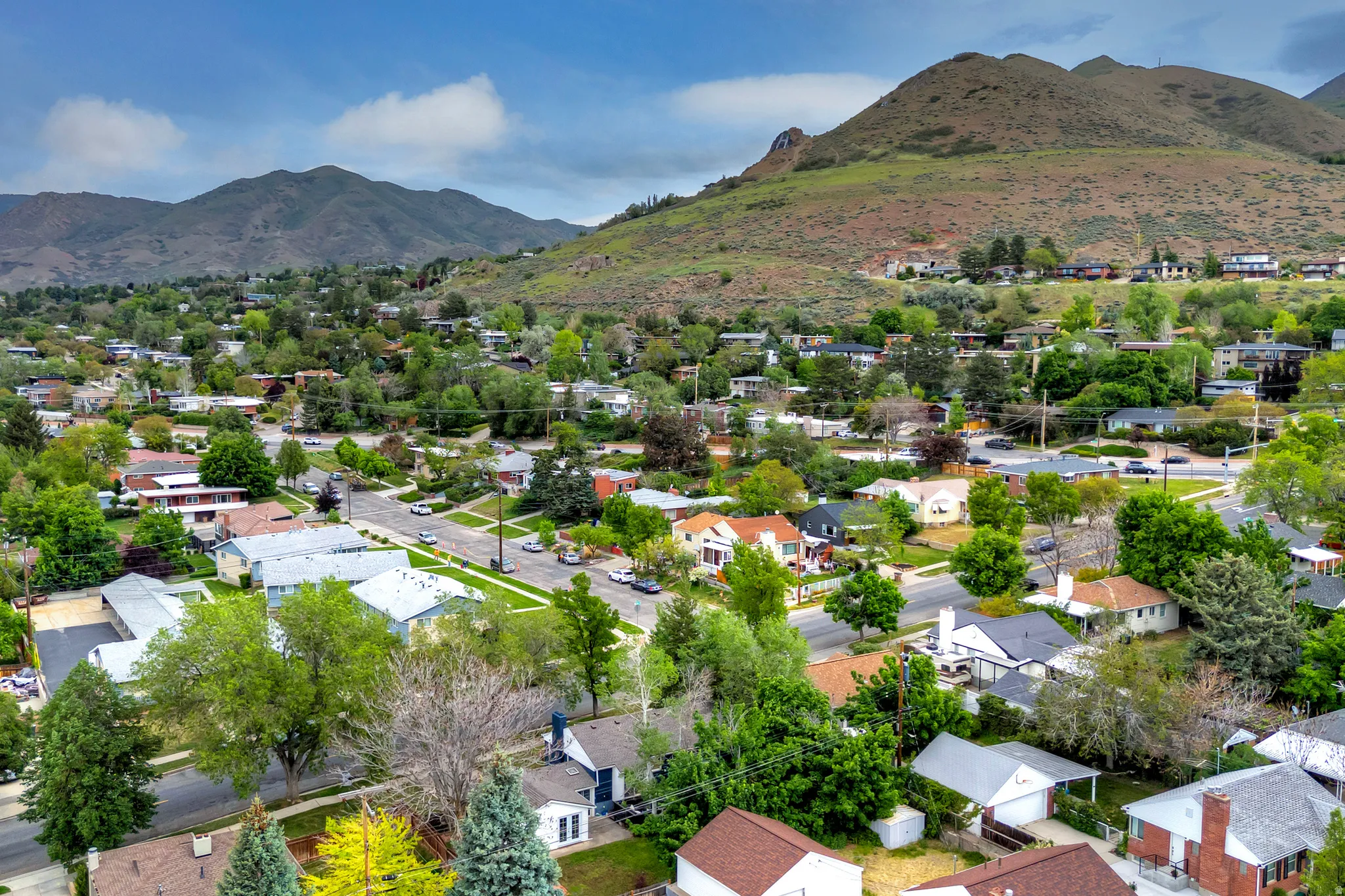 Expansive aerial perspective showcasing a residential area with mature trees and varied architectural styles against a mountainous backdrop