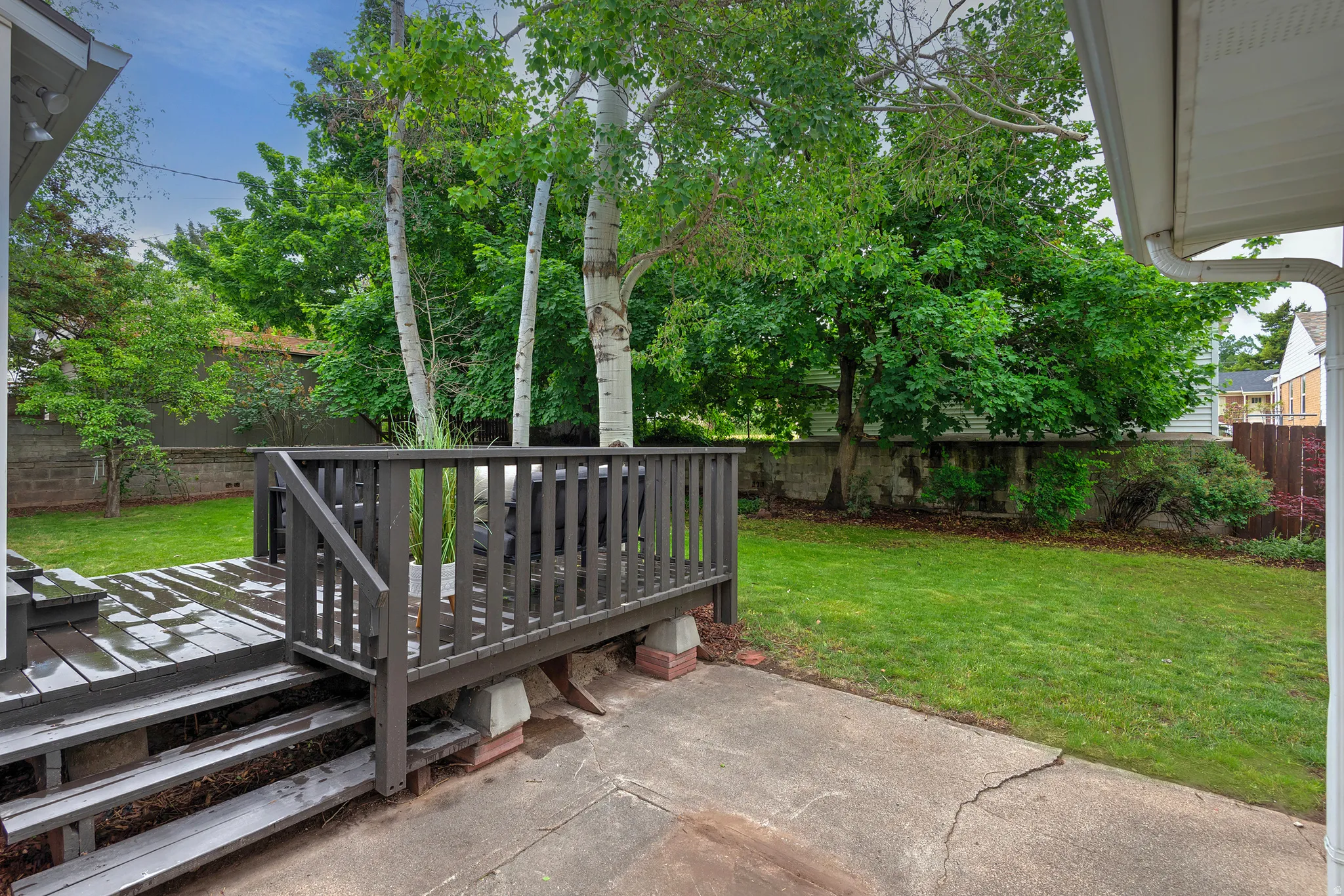 Expansive backyard featuring a manicured lawn, established trees, and a concrete patio
