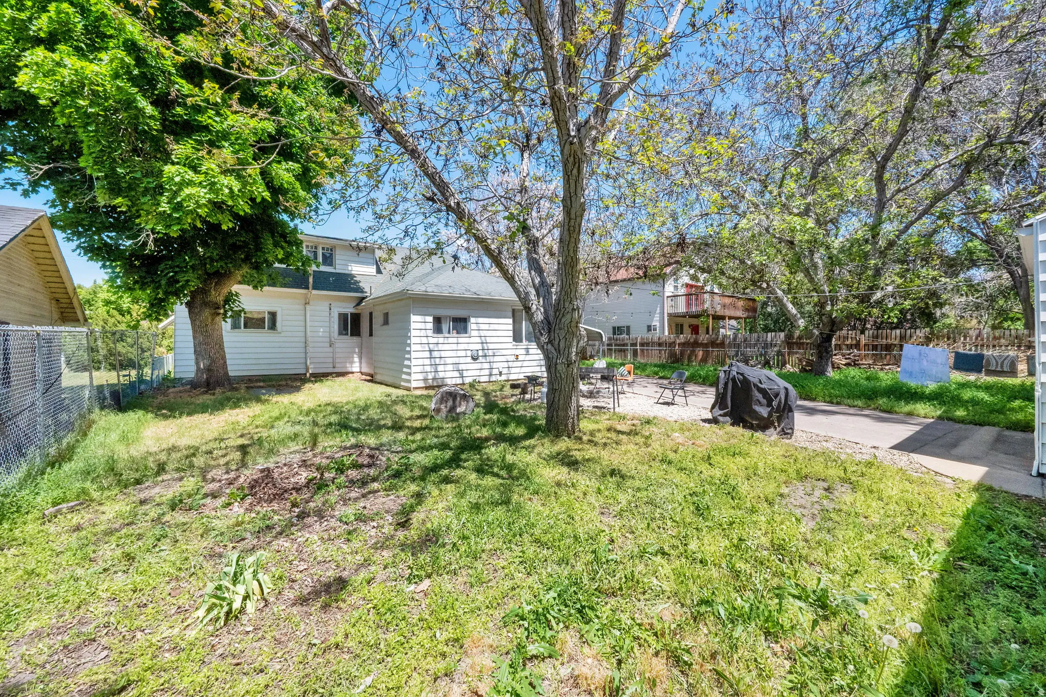 Expansive backyard featuring a mature tree, concrete patio area, and white siding on the rear of the residence