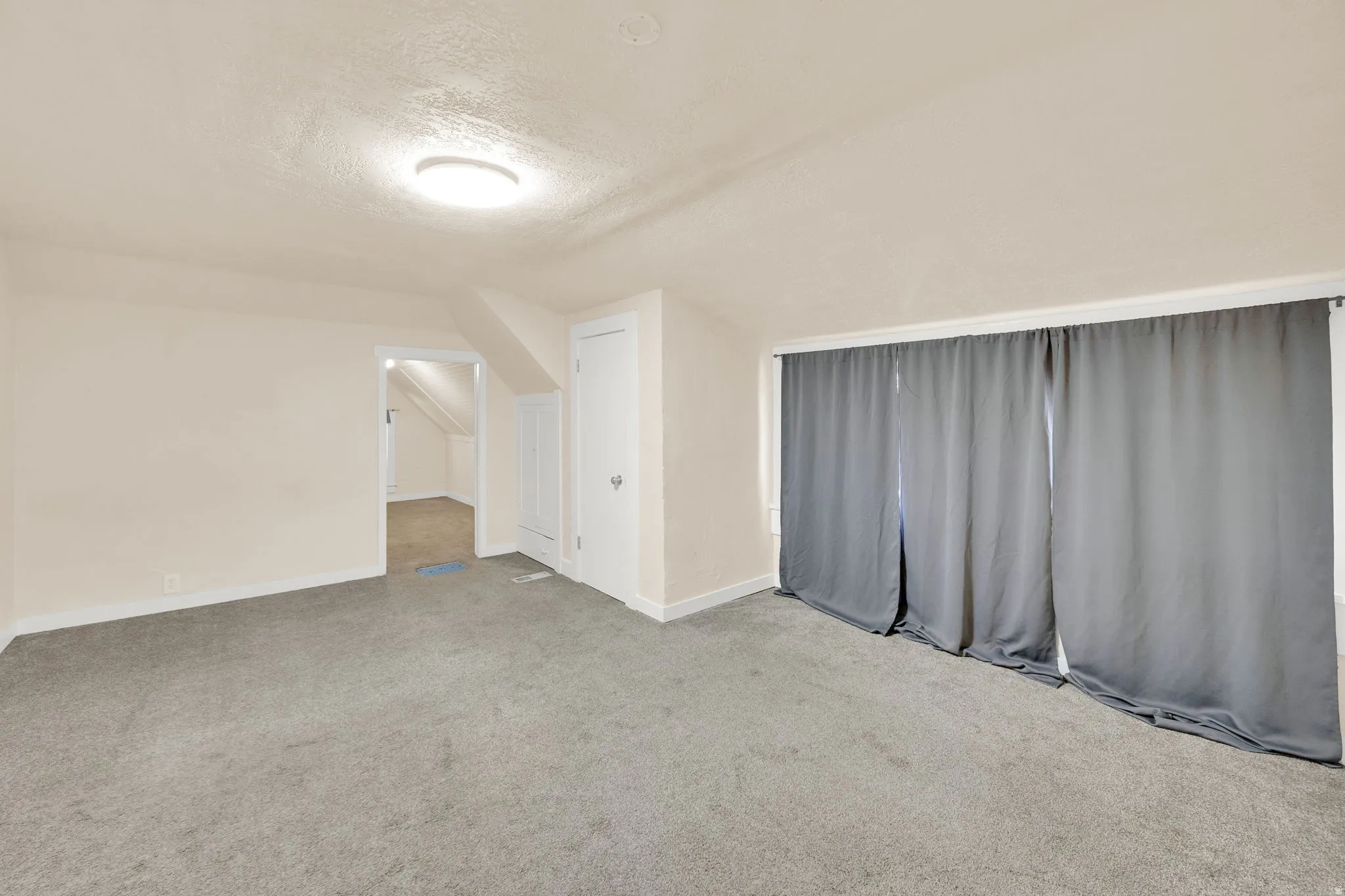 Carpeted room featuring neutral wall tones, a ceiling-mounted light fixture, and a built-in door