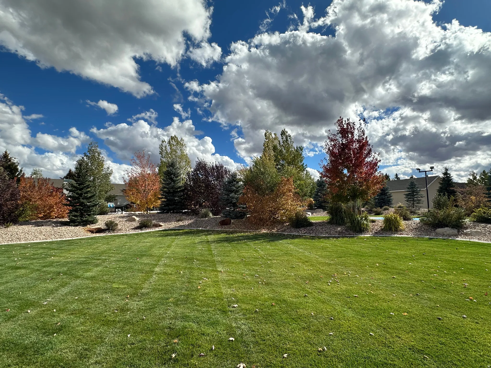 Expansive lawn with manicured grass and a landscaped border featuring mature trees and shrubs