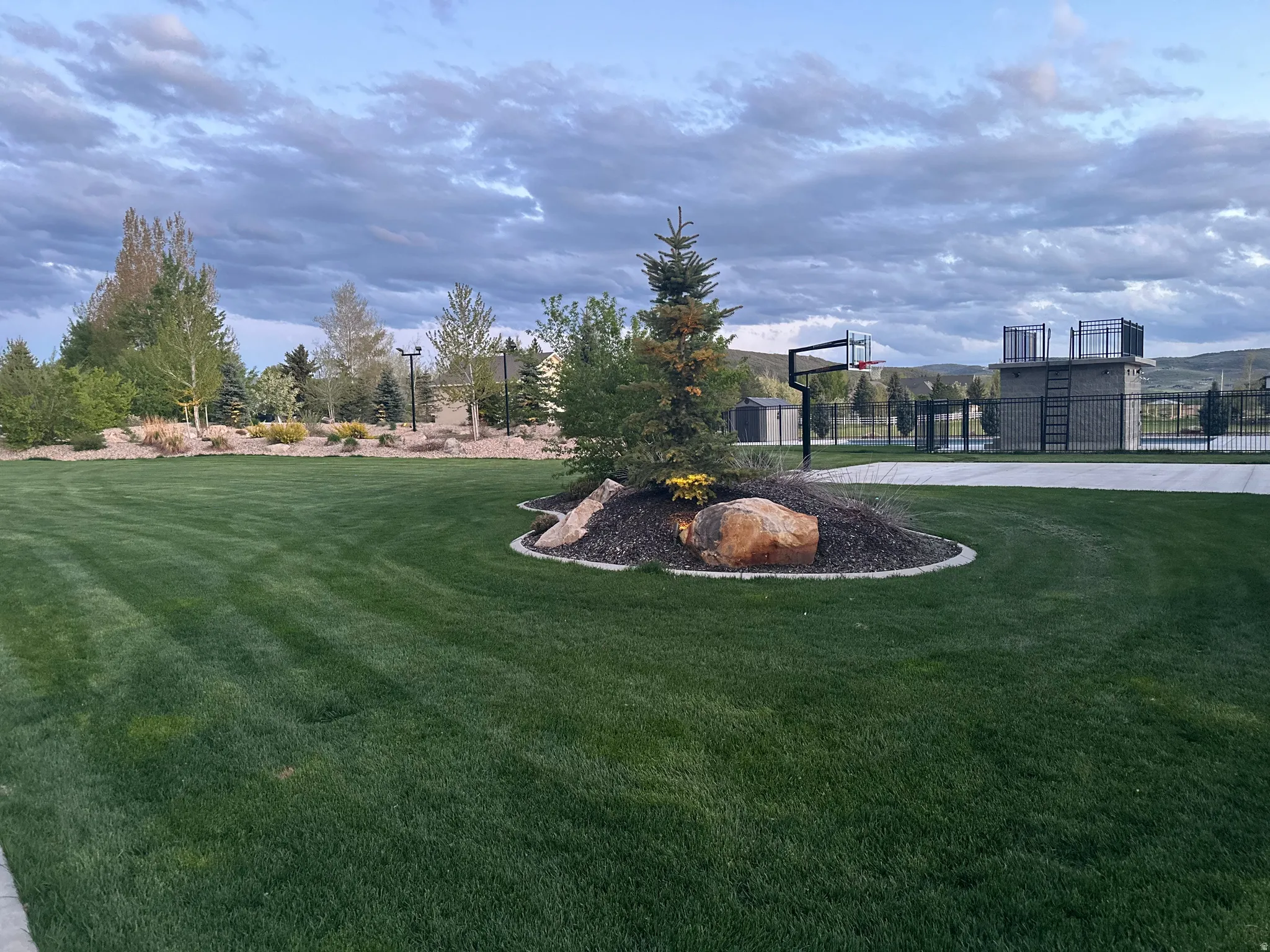 Expansive lawn space featuring a central landscaped island with a mature conifer and decorative rock, bordered by a concrete path