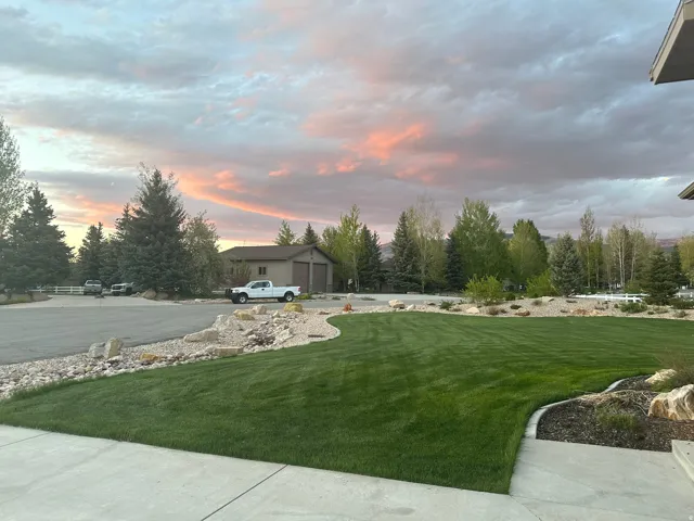 Expansive green lawn with defined edging