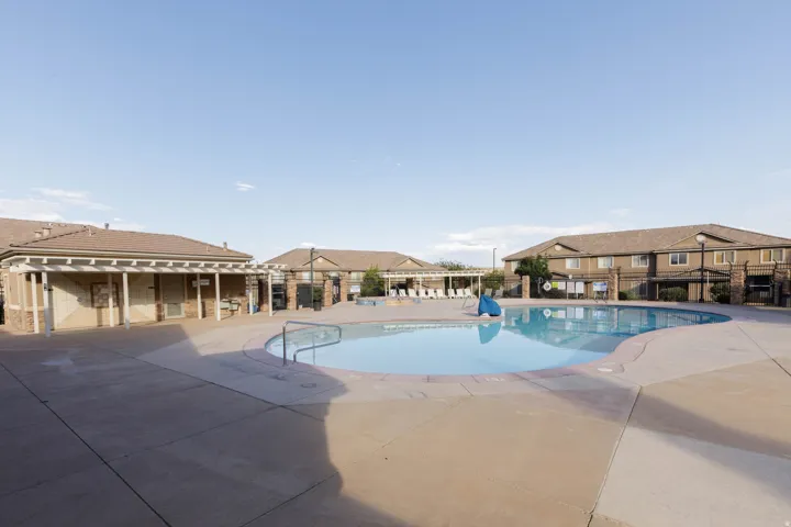 Outdoor swimming pool featuring a curved design and integrated steps, surrounded by a concrete deck