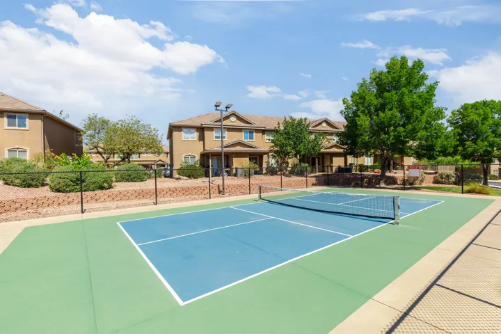 Outdoor recreational court featuring a blue playing surface with white lines and a green perimeter