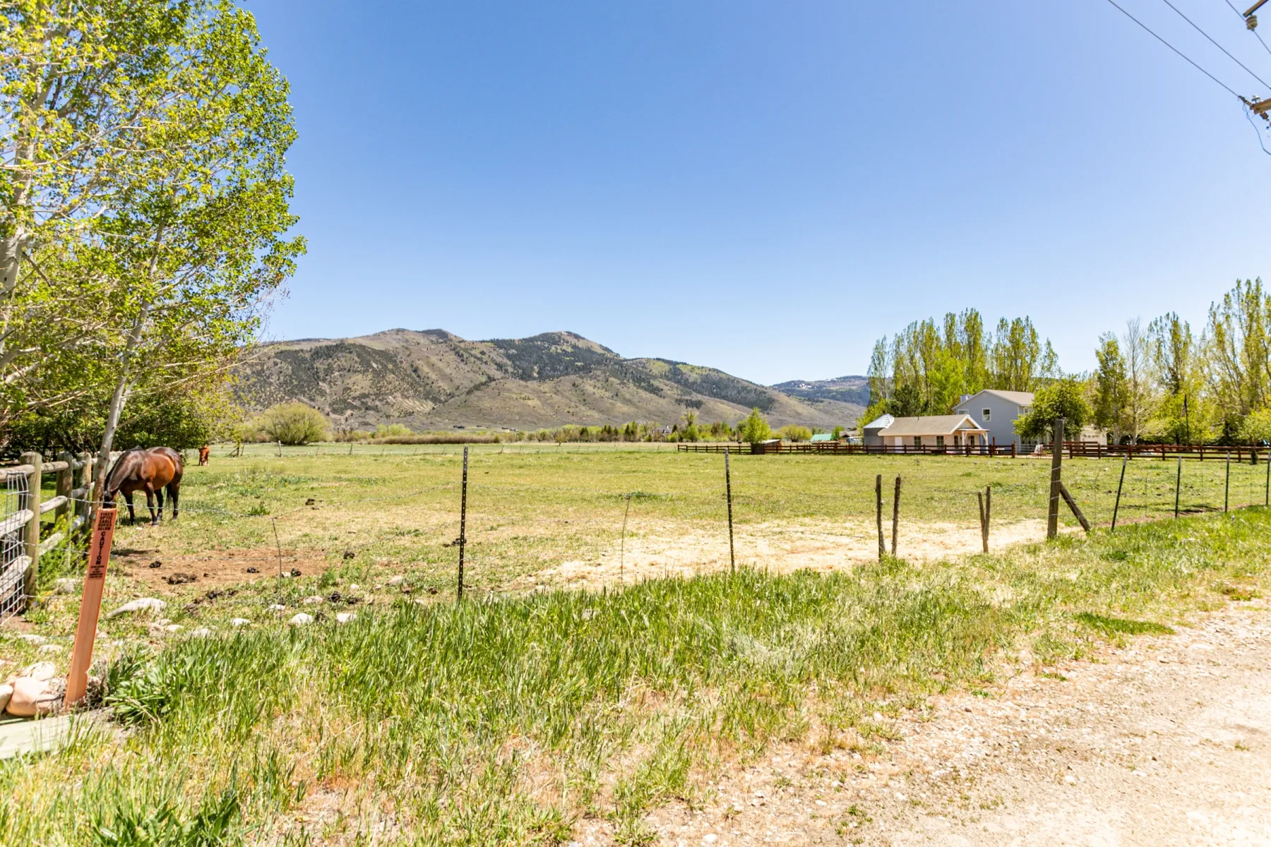 Expansive fenced pasture with distant mountainous terrain, mature deciduous trees, and a visible residential structure