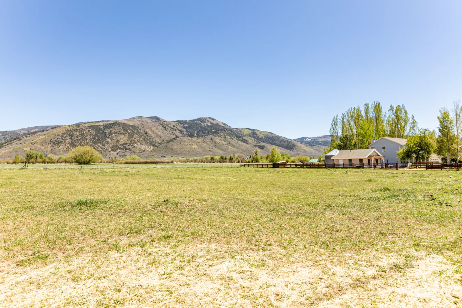 Expansive grassy field with distant mountain scenery
