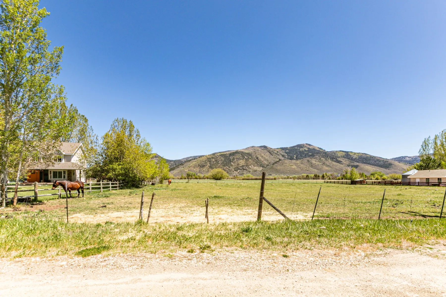 Expansive green pasture with a split-rail fence and distant mountain range backdrop