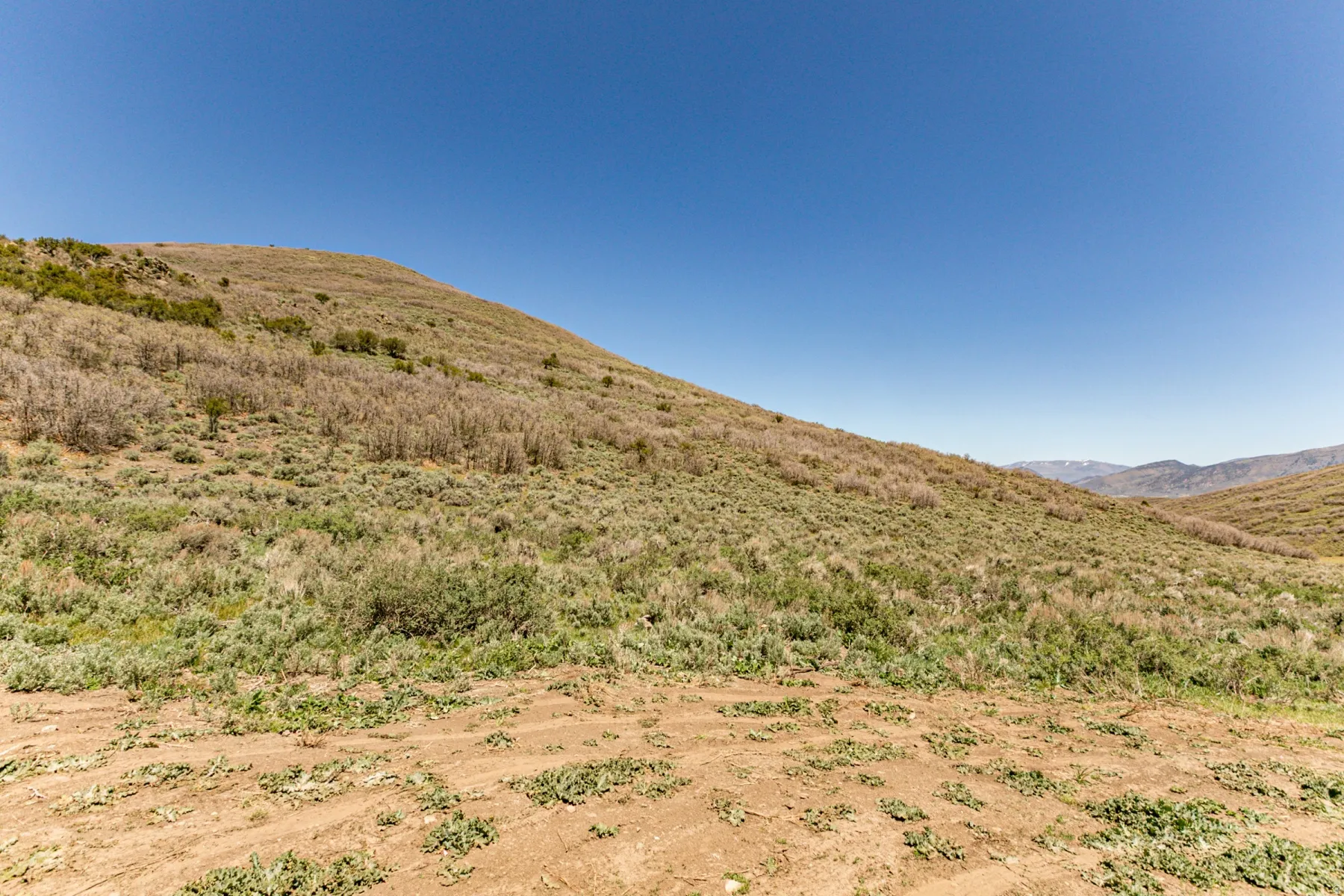 Rolling hillside terrain with varied vegetation under a clear sky