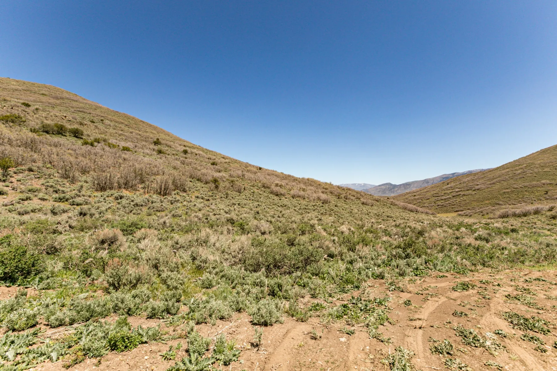 Expansive hillside terrain featuring natural vegetation, a clear blue sky, distant mountain ranges, and varied ground cover