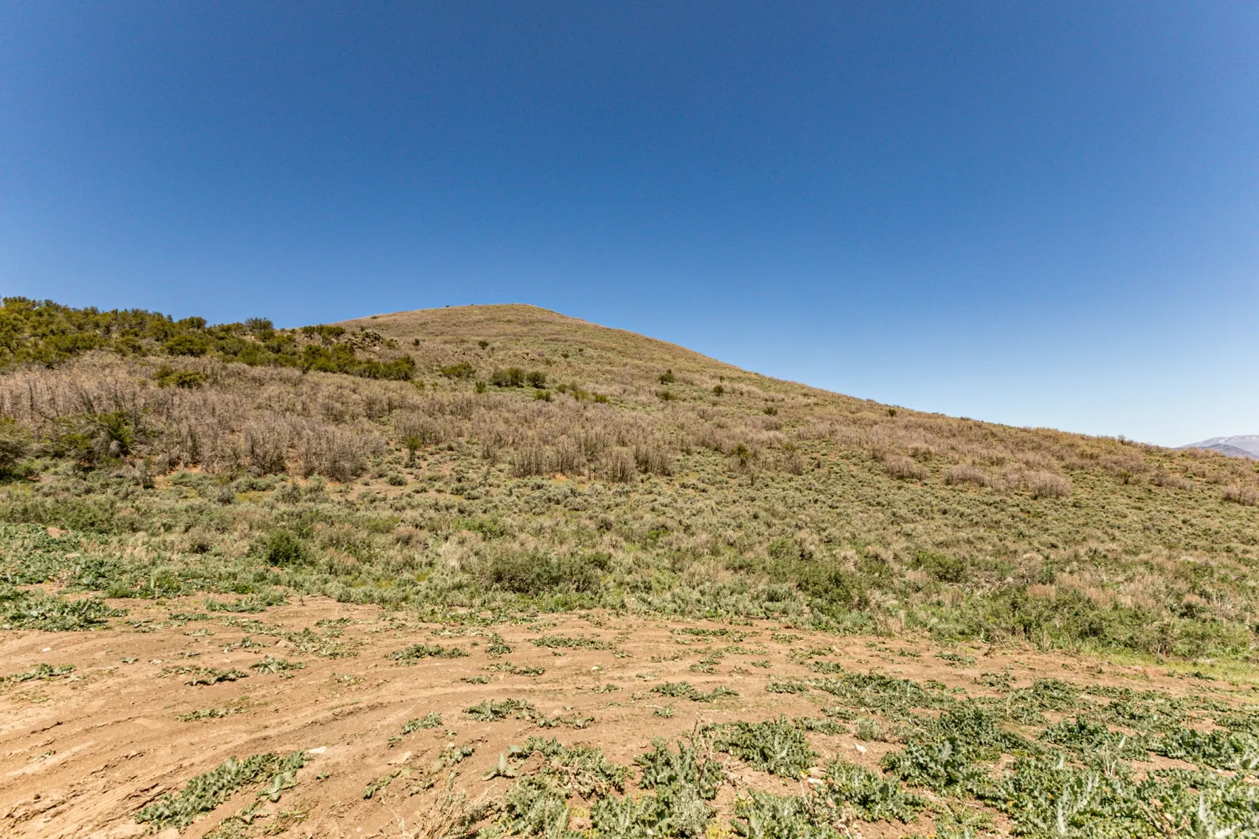 Expansive open land with undulating terrain