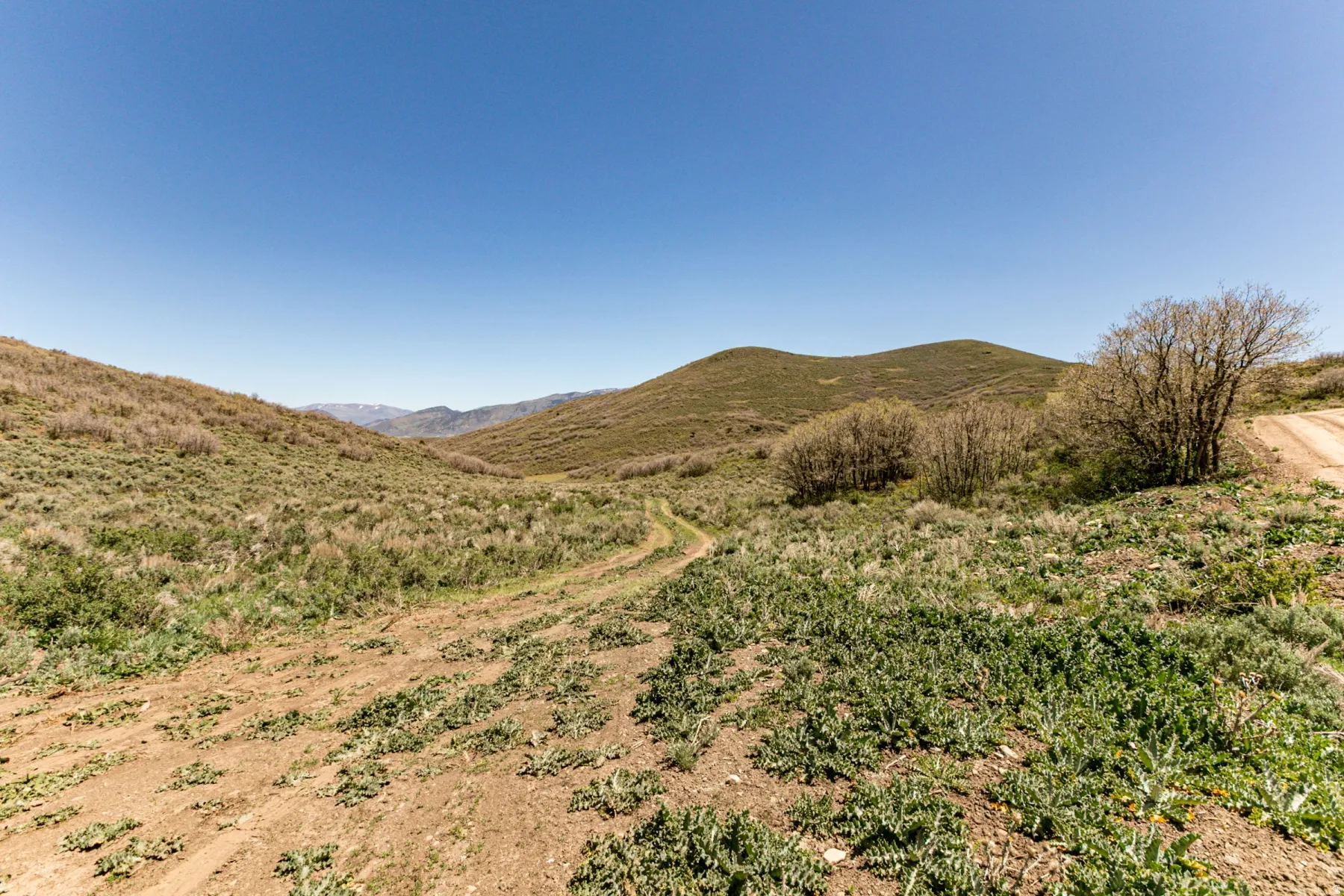 Expansive undeveloped terrain featuring rolling hills and natural vegetation