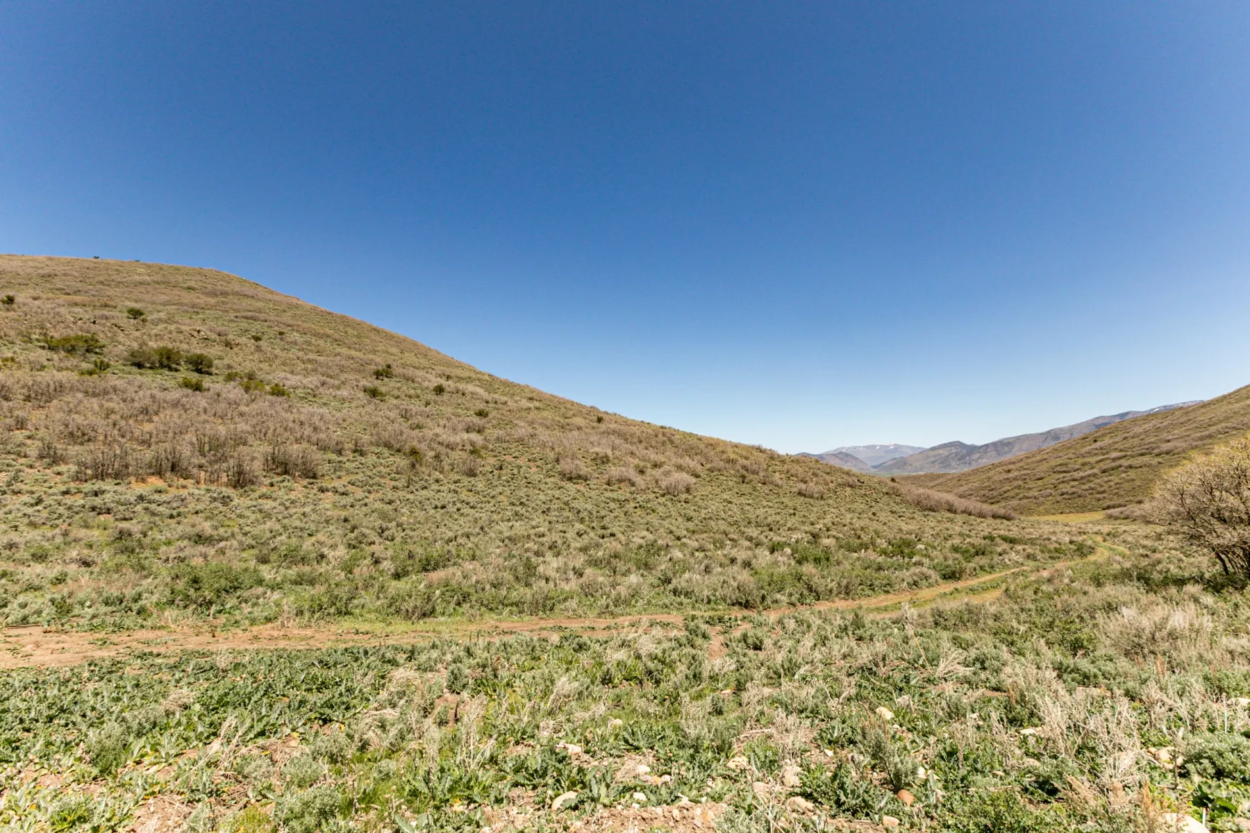Expansive natural terrain featuring rolling hills and distant mountain ranges under a clear sky