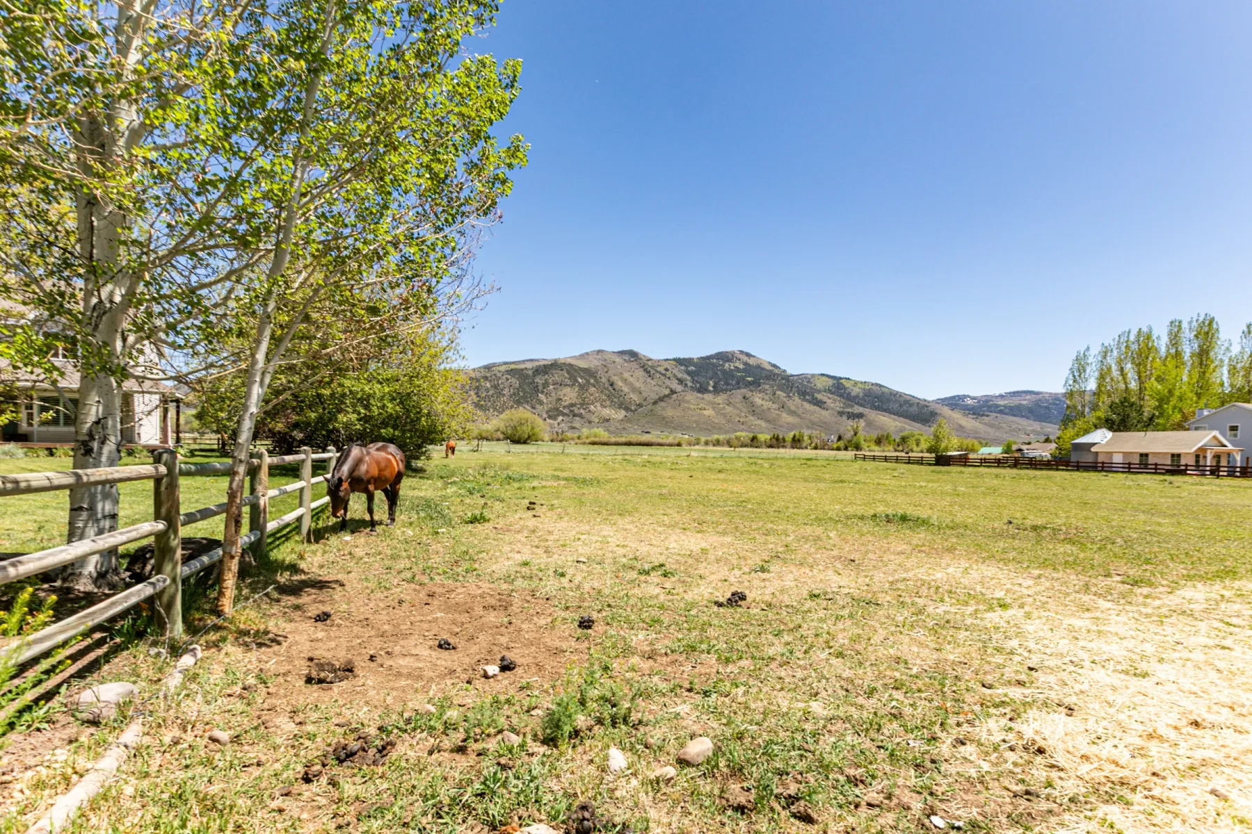 Expansive pastureland with established wood fencing