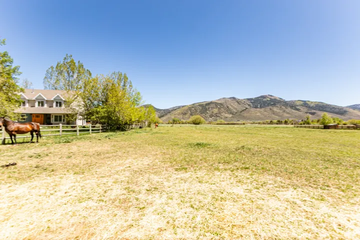 Expansive pastureland with a distant mountain backdrop