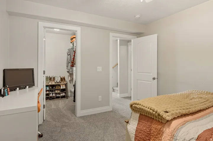 Lower level bedroom