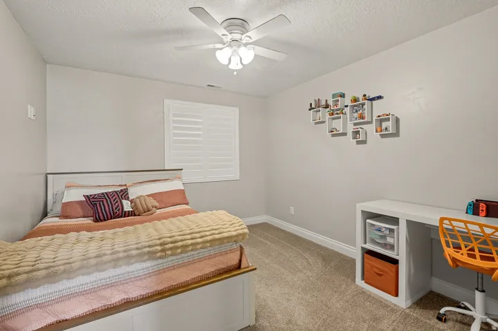 Lower level bedroom