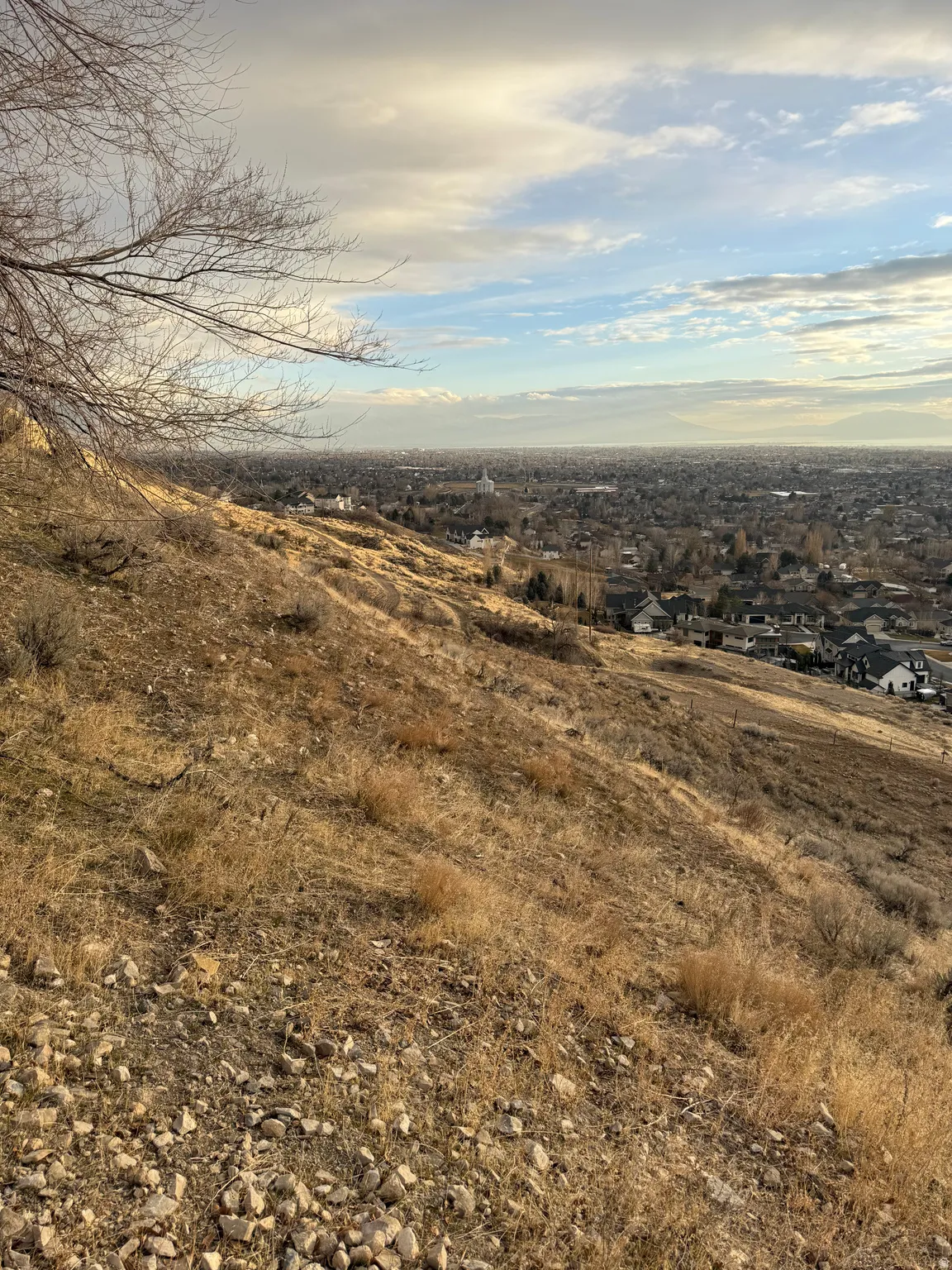 Expansive city panorama from an elevated perspective, featuring distant structures and a varied sky