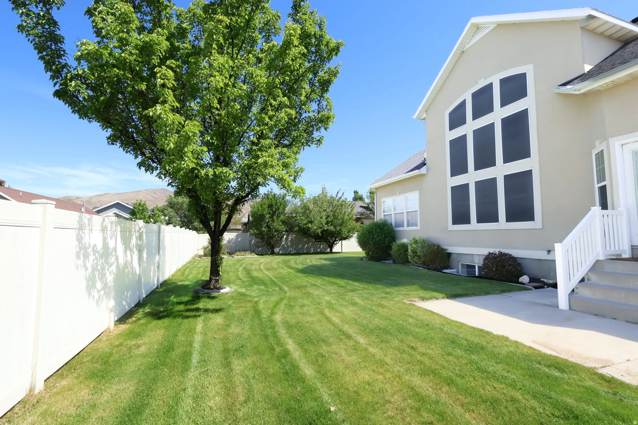 Expansive lawn area featuring a mature tree, along with a white privacy fence