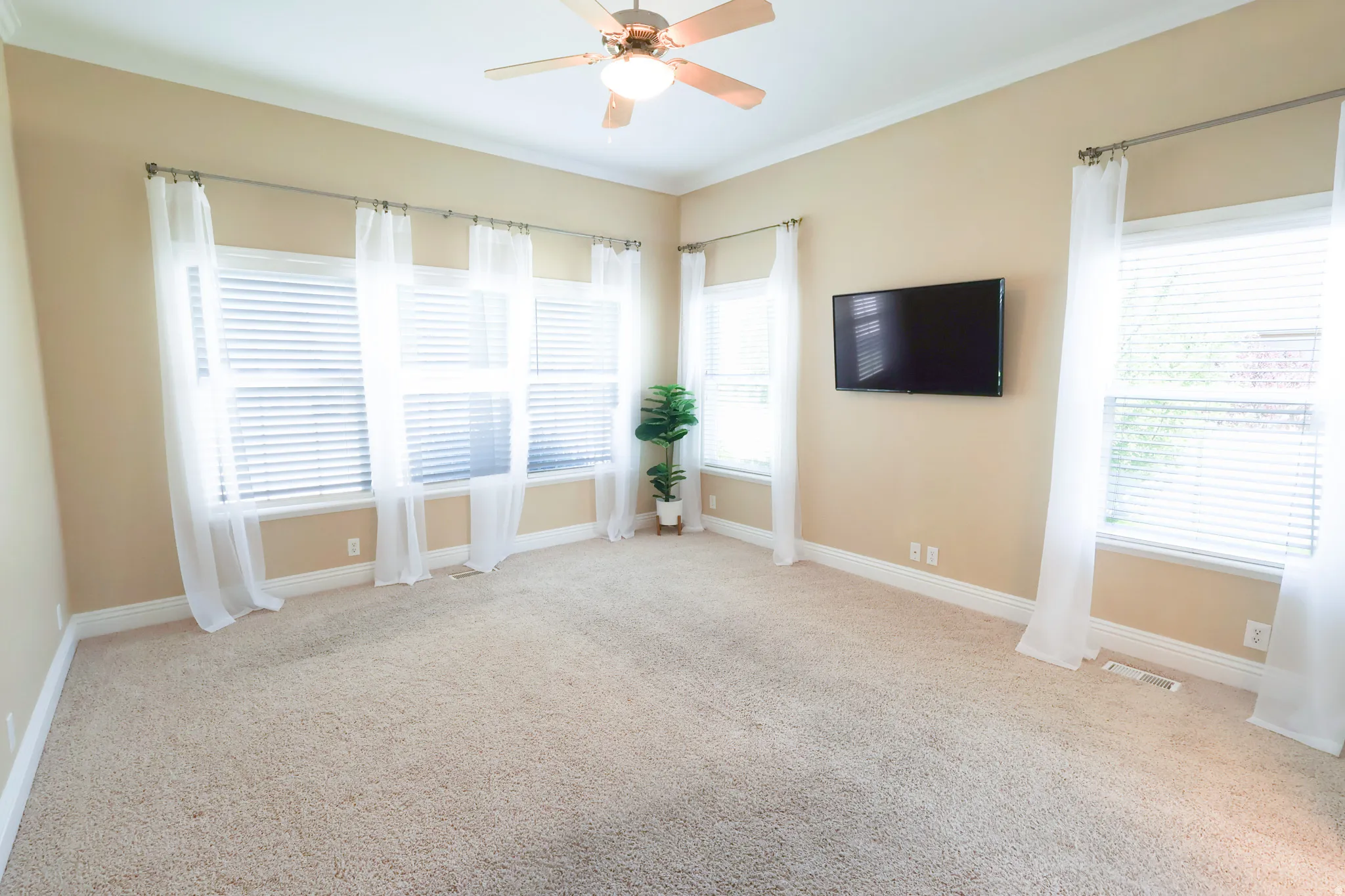 Spacious room featuring neutral carpeting, extensive window treatments, and a ceiling fan