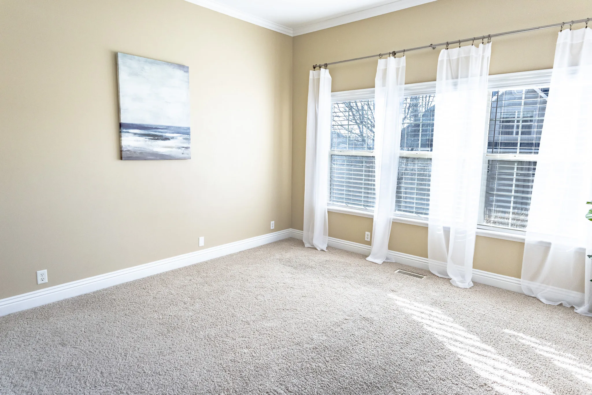 Expansive room featuring light beige wall paint, plush carpeting, and white baseboards
