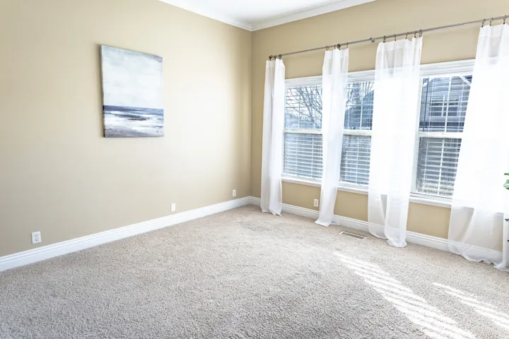 Expansive room featuring light beige wall paint, plush carpeting, and white baseboards