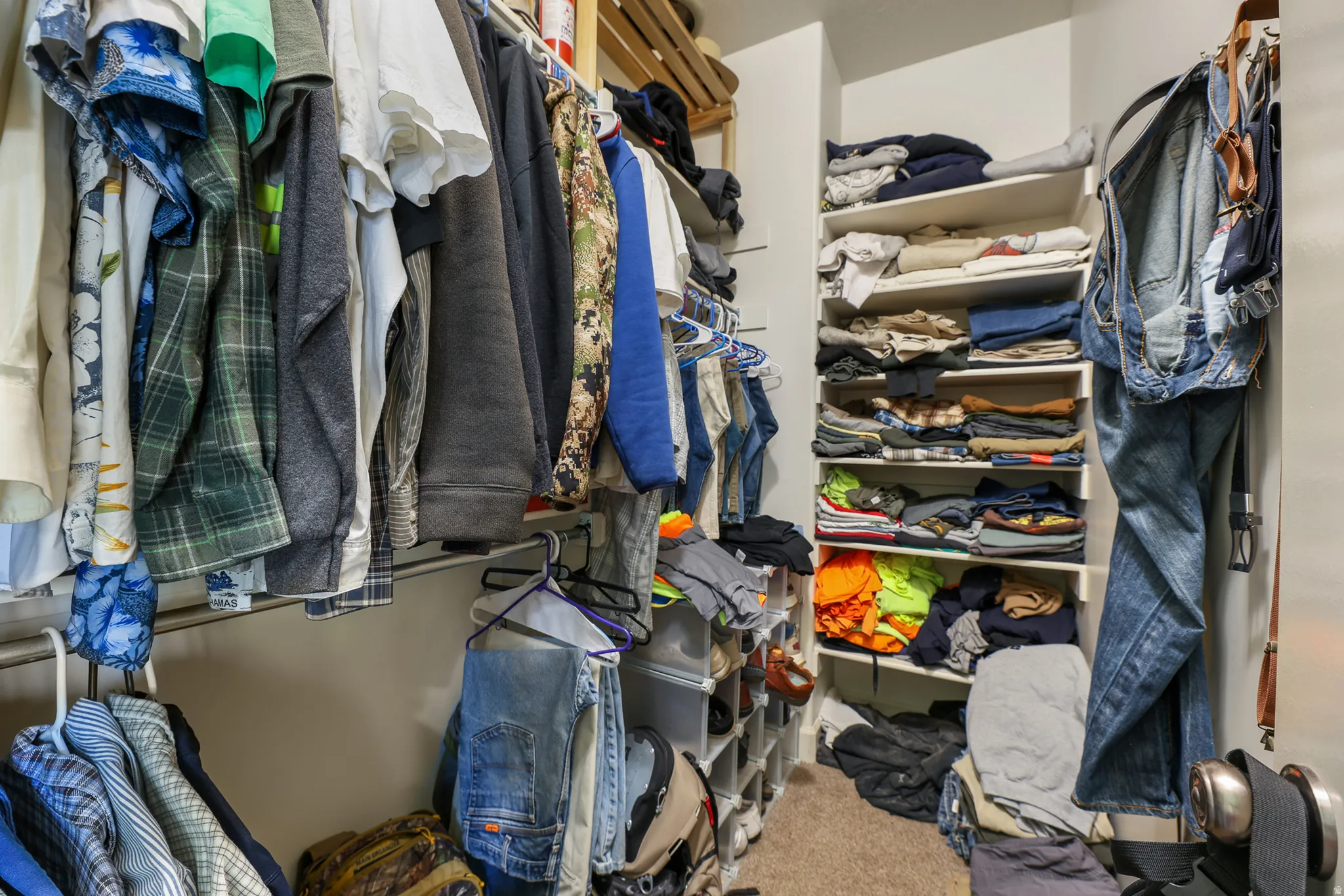 Walk-in closet featuring multiple hanging rods, built-in shelving, and carpet flooring
