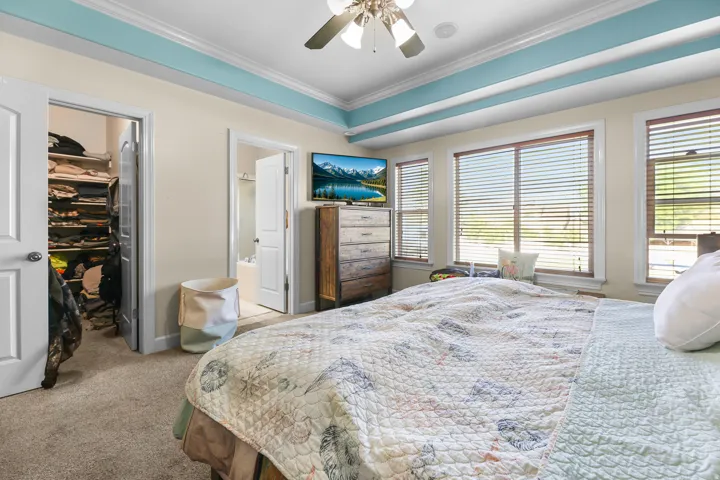 Carpeted bedroom with a tray ceiling featuring light blue and white trim, multiple windows with blinds, and a ceiling fan
