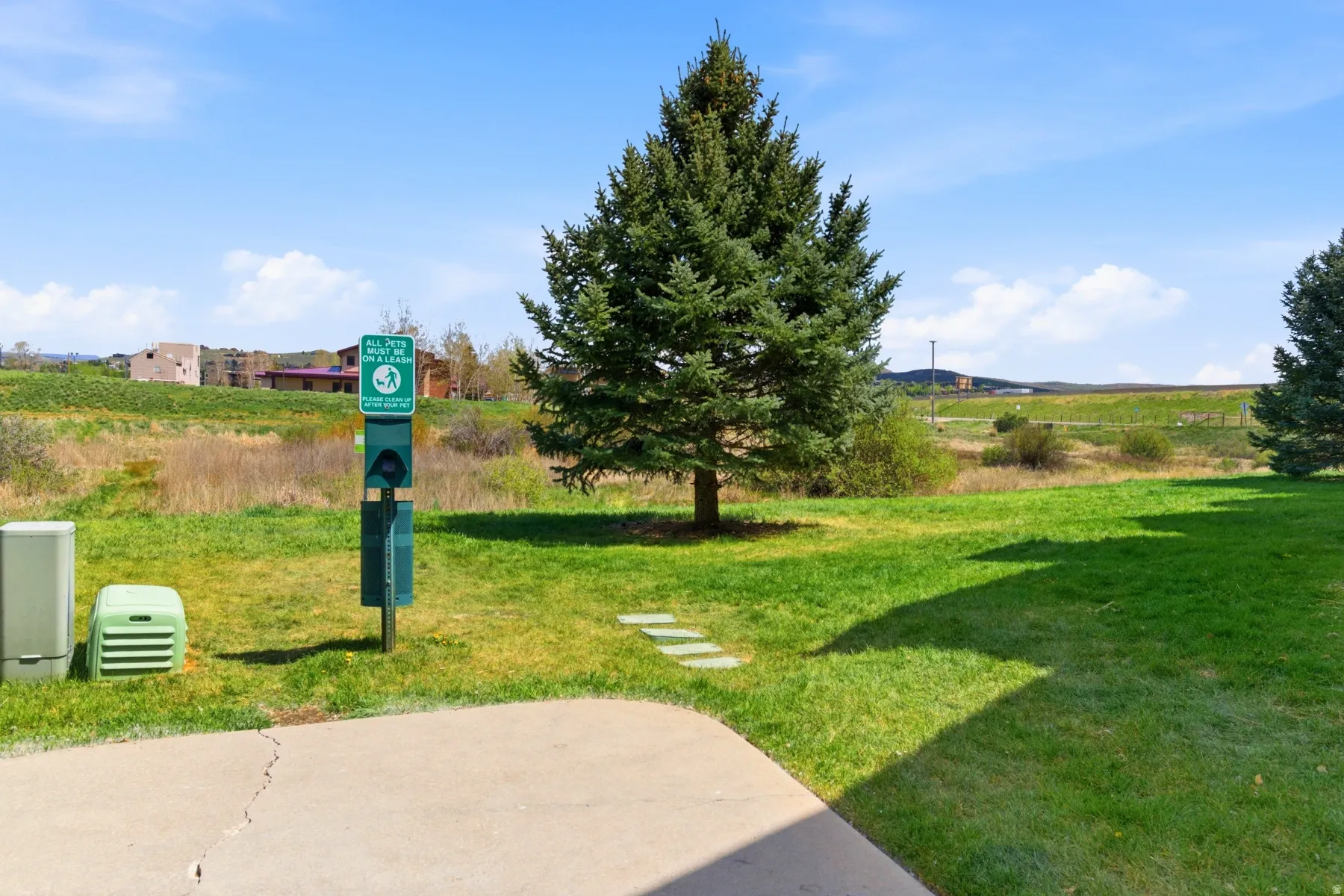 Expansive green space featuring a concrete patio, mature evergreen trees, and a pet waste station with a dedicated receptacle