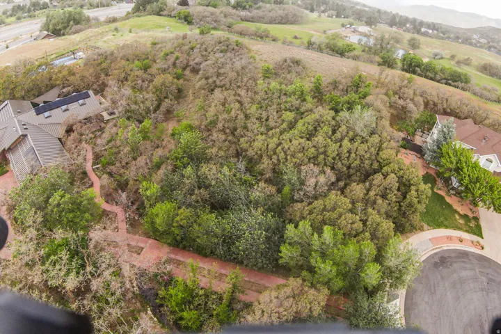 Expansive property featuring significant natural vegetation and mature trees