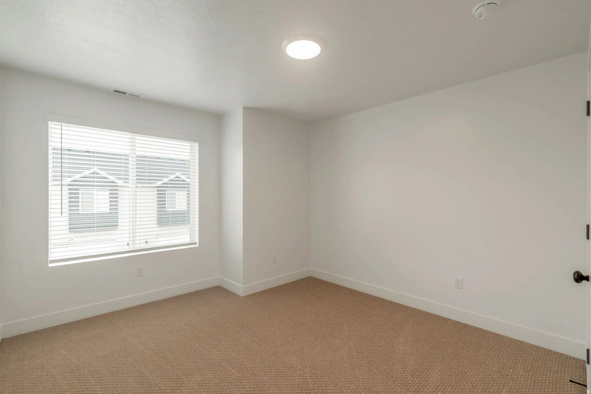 Room featuring a large window with horizontal blinds, neutral-toned carpeting, white baseboards, and a ceiling-mounted light fixture
