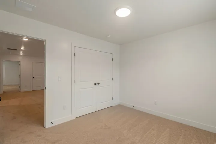Neutral-toned carpeted room featuring a double-door closet with black hardware, white baseboards, and a flush-mount ceiling light