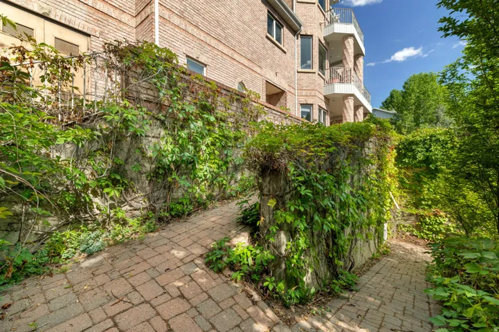 Brick paver pathway with abundant climbing foliage covering stone retaining walls