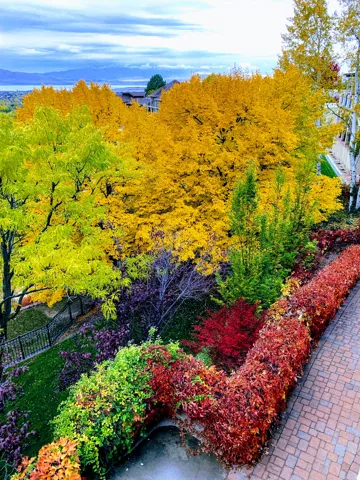 Expansive landscaping featuring vibrant autumnal foliage and a paver pathway