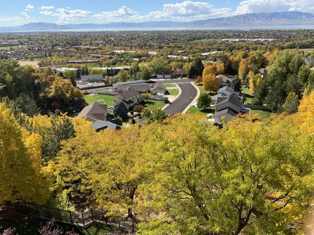 Elevated perspective showcasing a residential area with varied architectural styles, surrounded by mature trees in autumnal foliage