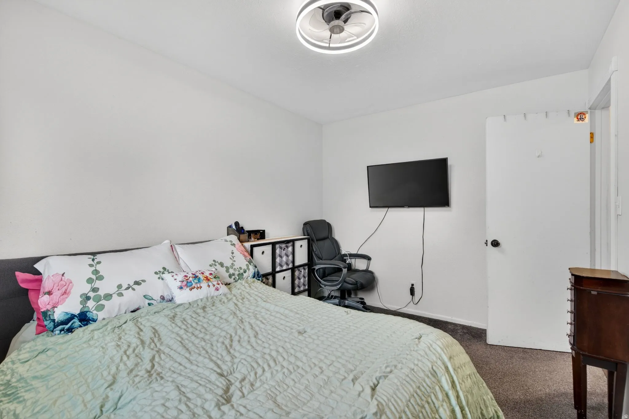 Bright interior room featuring white walls and dark carpet flooring