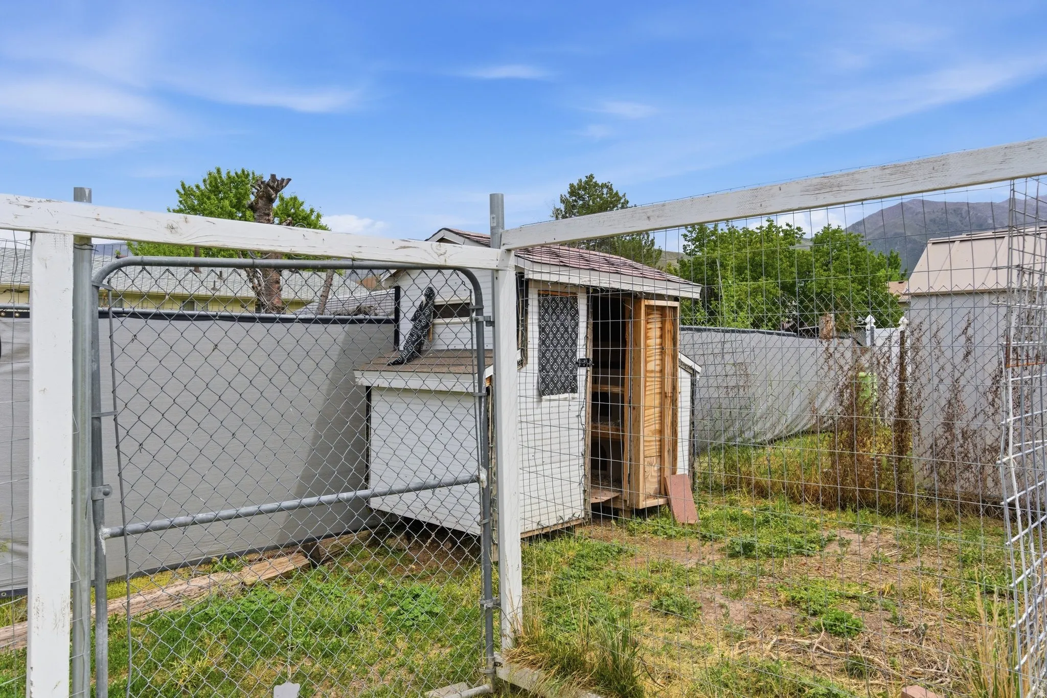 Outdoor enclosure with chain-link fencing and a chicken coop